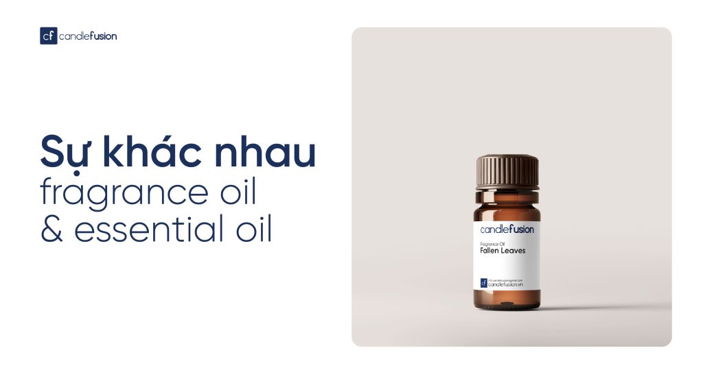 sự khác nhau fragrance oil và essential oil