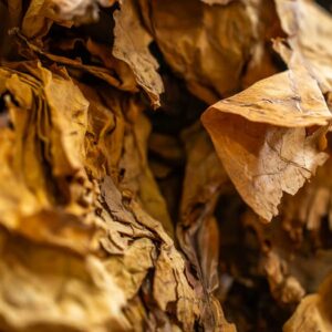 Tobacco Vanilla FO-052 hương liệu làm nến